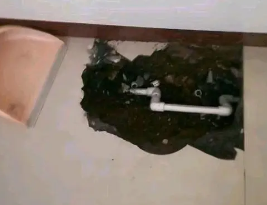 刚察卫生间测漏水多少钱